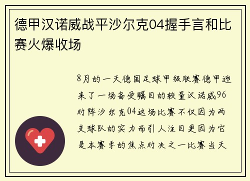德甲汉诺威战平沙尔克04握手言和比赛火爆收场