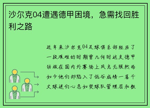 沙尔克04遭遇德甲困境，急需找回胜利之路